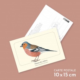 Pinson des arbres - Carte postale pédagogique
