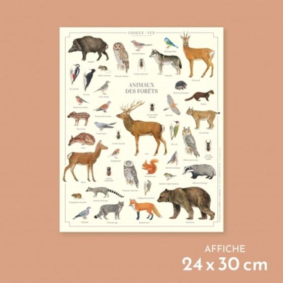 Animaux des forêts - Affiche 24 x 30 cm