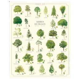 Arbres de France - Affiche 24 x 30 cm