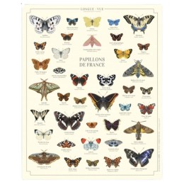 Papillons de France - Affiche 24 x 30 cm
