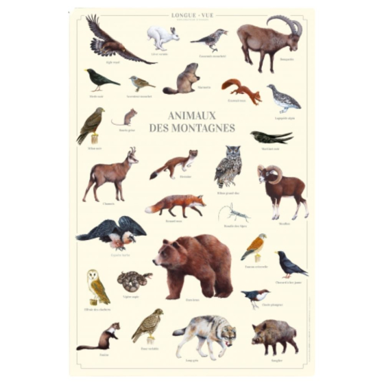 Animaux des montagnes - Affiche 40 x 60 cm