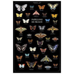 Papillons de France - Affiche 40 x 60 cm