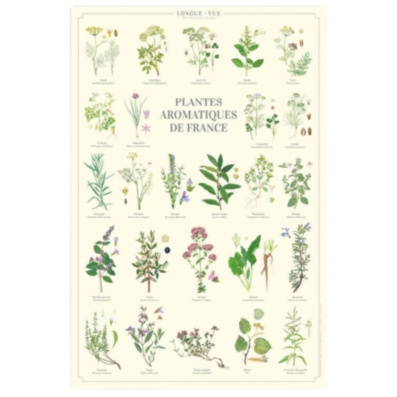 Plantes aromatiques de France - Affiche 40 x 60 cm