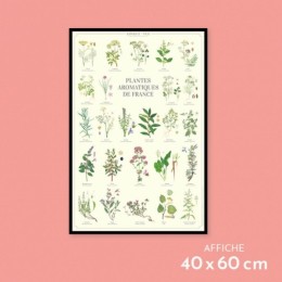 Plantes aromatiques de France - Affiche 40 x 60 cm