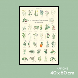 Plantes médicinales de France - Affiche 40 x 60 cm