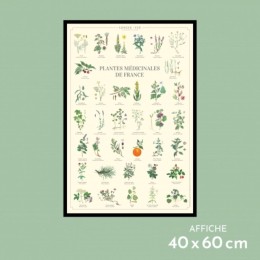 Plantes médicinales de France - Affiche 40 x 60 cm