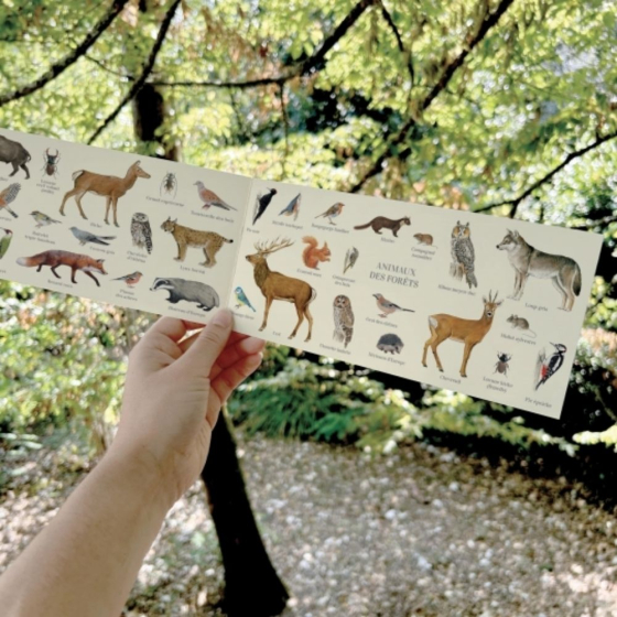 Animaux des forêts - Carte double