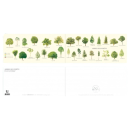 Arbres des forêts - Carte double