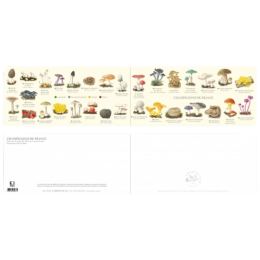 Champignons de France - Carte double
