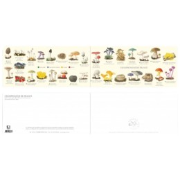 Champignons de France - Carte double