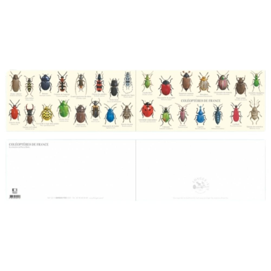 Coléoptères de France - Carte double