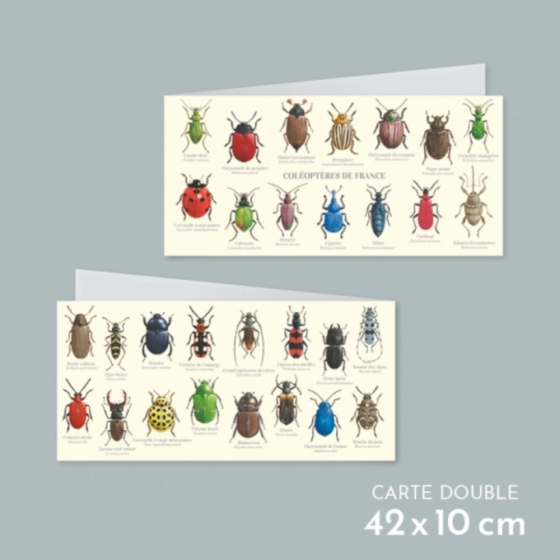 Coléoptères de France - Carte double