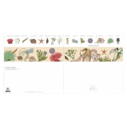 Fonds marins - Carte double
