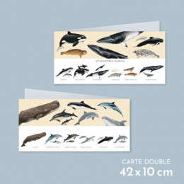 Mammifères marins - Carte double