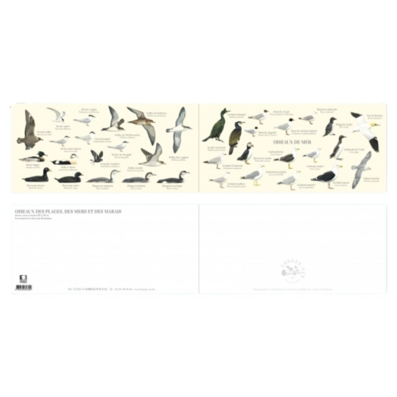 Oiseaux de mer - Carte double