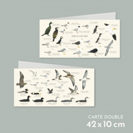 Oiseaux de mer - Carte double