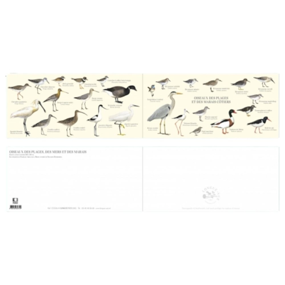 Oiseaux des plages, des mers et des marais - Carte double