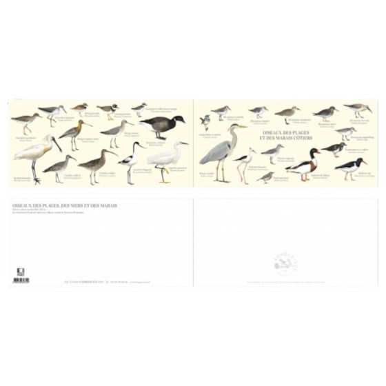 Oiseaux des plages, des mers et des marais - Carte double