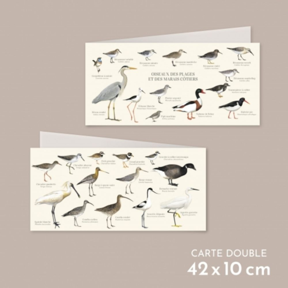 Oiseaux des plages, des mers et des marais - Carte double