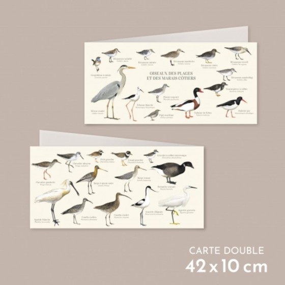 Oiseaux des plages, des mers et des marais - Carte double