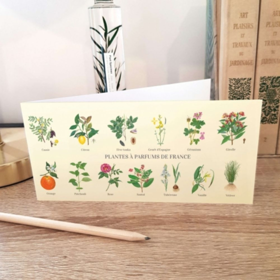 Plantes à parfums de France - Carte double