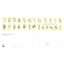 Plantes aromatiques de France - Carte double