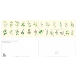 Plantes aromatiques de France - Carte double