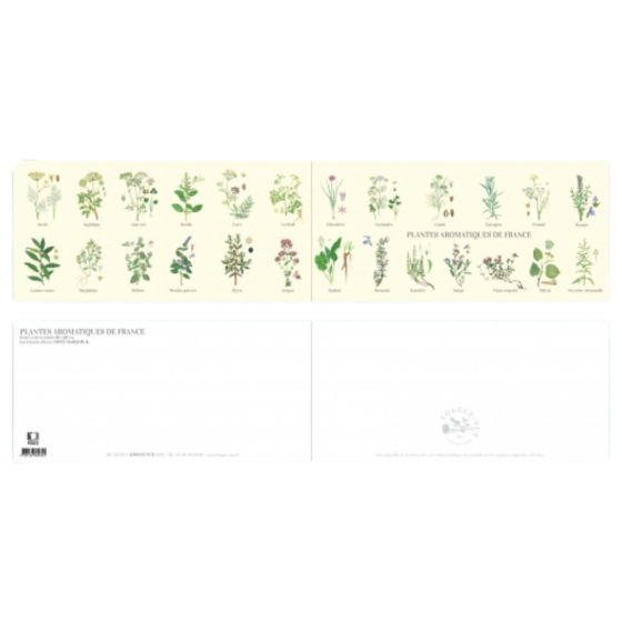 Plantes aromatiques de France - Carte double