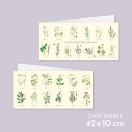 Plantes aromatiques de France - Carte double
