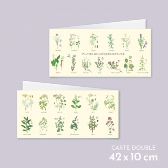Plantes aromatiques de France - Carte double