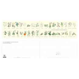 Plantes médicinales de France - Carte double