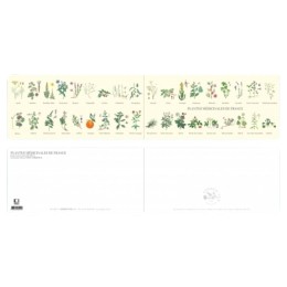 Plantes médicinales de France - Carte double