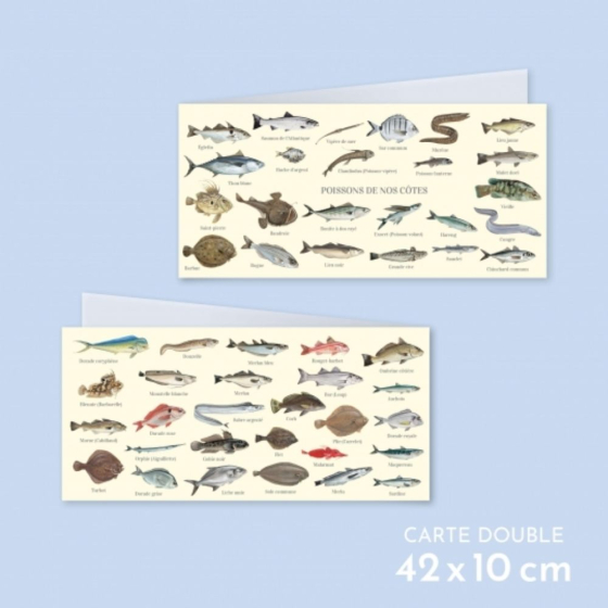 Poissons de nos côtes - Carte double