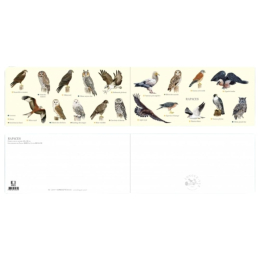 Rapaces - Carte double
