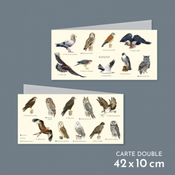 Rapaces - Carte double