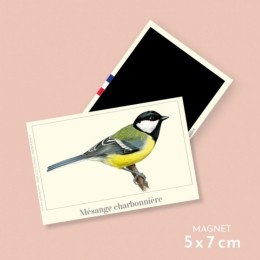 Mésange charbonnière - Magnet