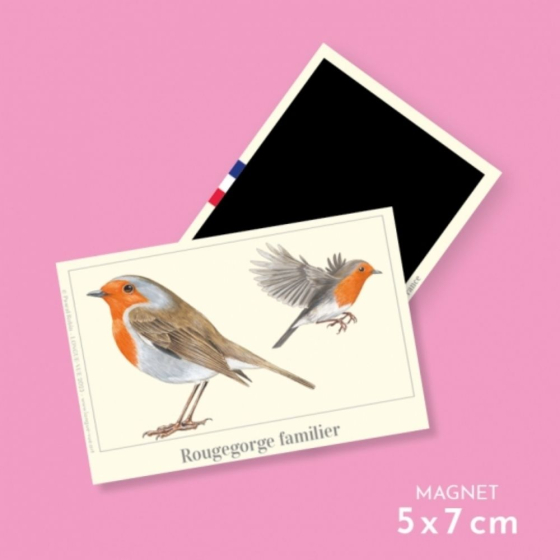 Rougegorge familier - Magnet