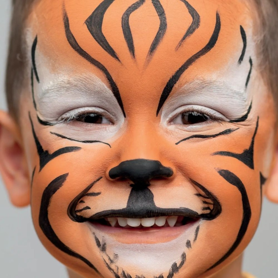 Kit de maquillage 4 couleurs - Tigre
