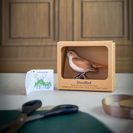 Décobird Rossignol philomèle