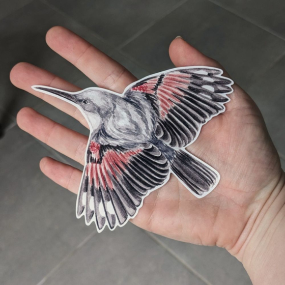 Silhouettes anti-collisions : Pack de 4 oiseaux des montagnes