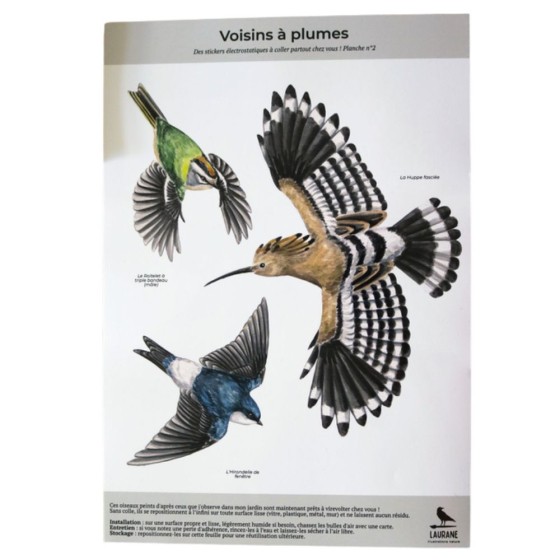 Silhouettes anti-collisions : Pack de 3 Hirondelle - Huppe - Roitelet