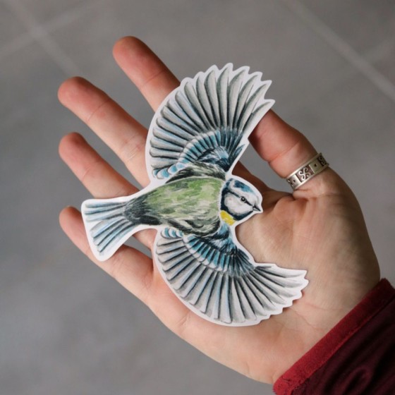 Silhouette anti-collision : Mésange bleue en vol