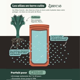 Lot de 3 Olla en terre cuite - 15 cm 1.2 litres