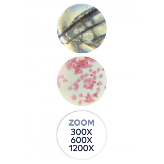 Microscope - 40 expériences