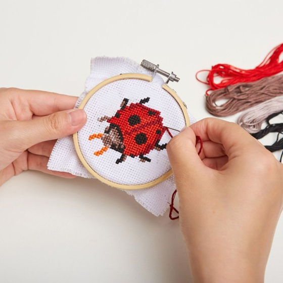 Mini broderie Pont de croix : Coccinelle