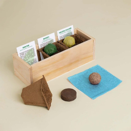 Kit d’Auto-culture Mojito - Menthe, basilic et menthe poivrée