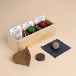 Kit d’Auto-culture Pizza - Origan, basilic et tomate cerise