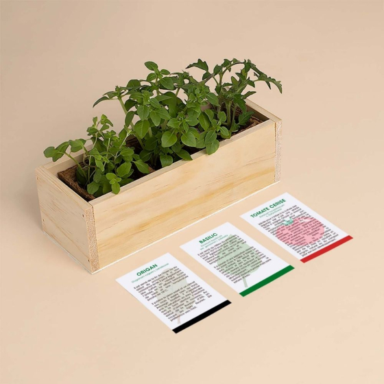 Kit d’Auto-culture Pizza - Origan, basilic et tomate cerise