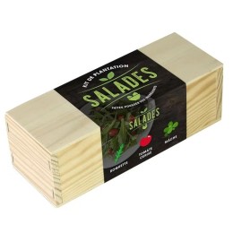 Kit d’Auto-culture Salades - Roquette, tomate cerise et mâche