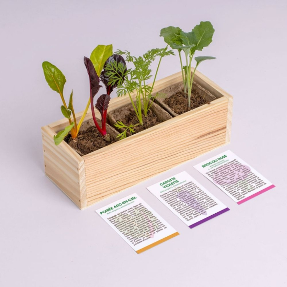 Mini potager de légumes étranges